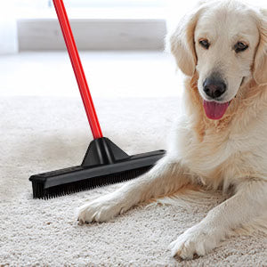 The Dreamscape Hair Removal Broom