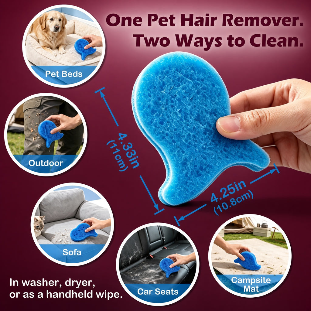 Dreamscape Laundry Sponge - 6 Pack