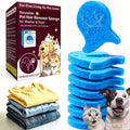 Dreamscape Laundry Sponge - 6 Pack