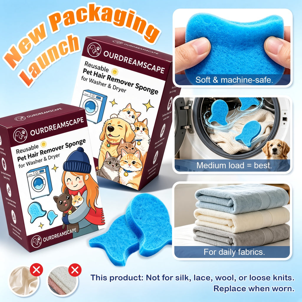 Dreamscape Laundry Sponge - 6 Pack